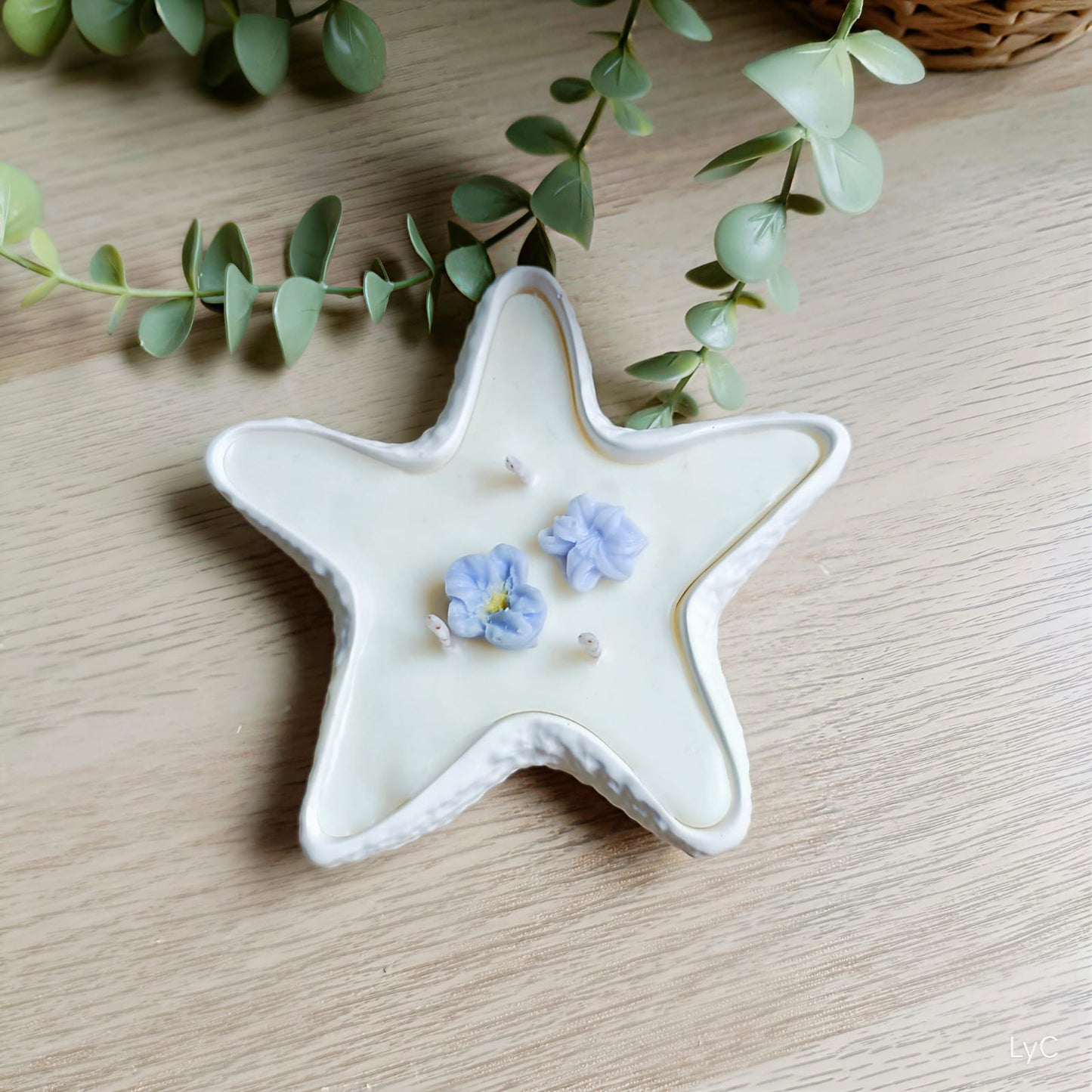 Estrella de mar 2 en 1