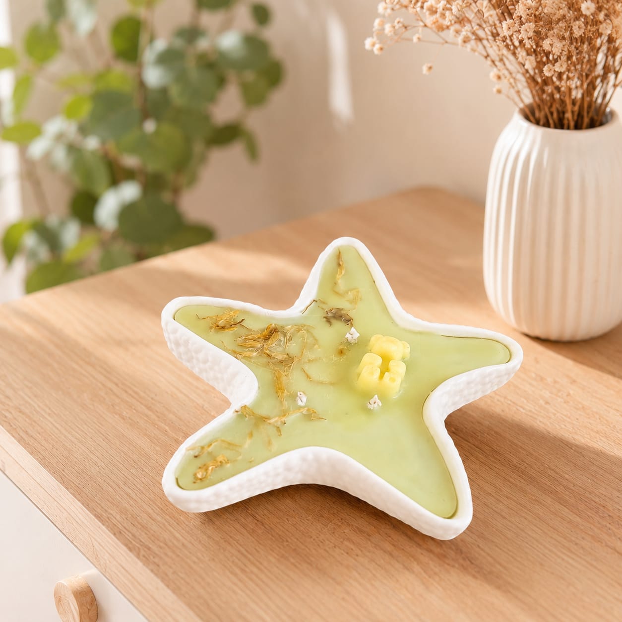 Estrella de mar 2 en 1
