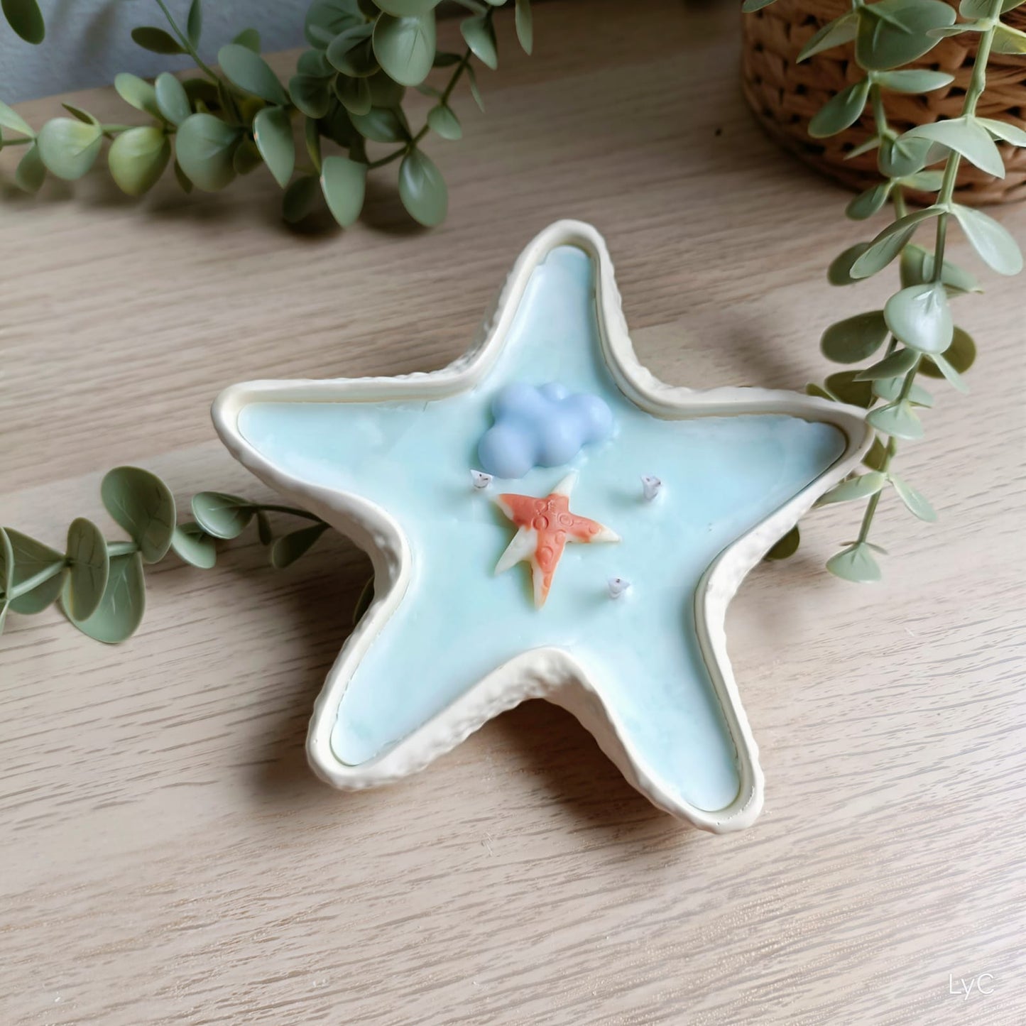 Estrella de mar 2 en 1