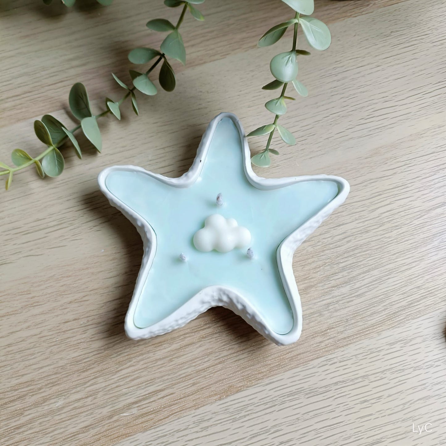 Estrella de mar 2 en 1
