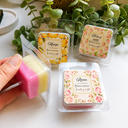 Pack Wax Melts Frutales