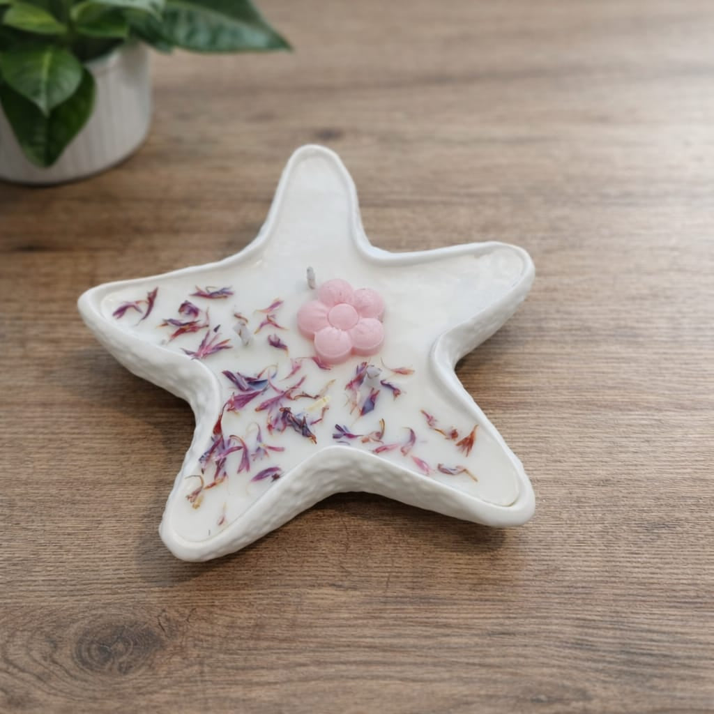 Estrella de mar 2 en 1