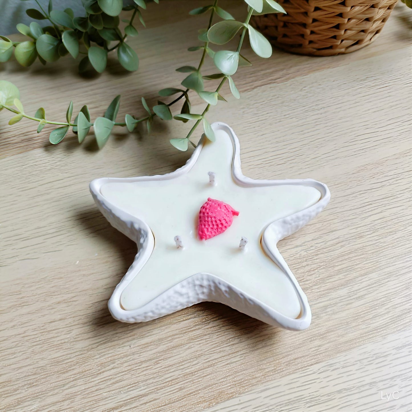 Estrella de mar 2 en 1