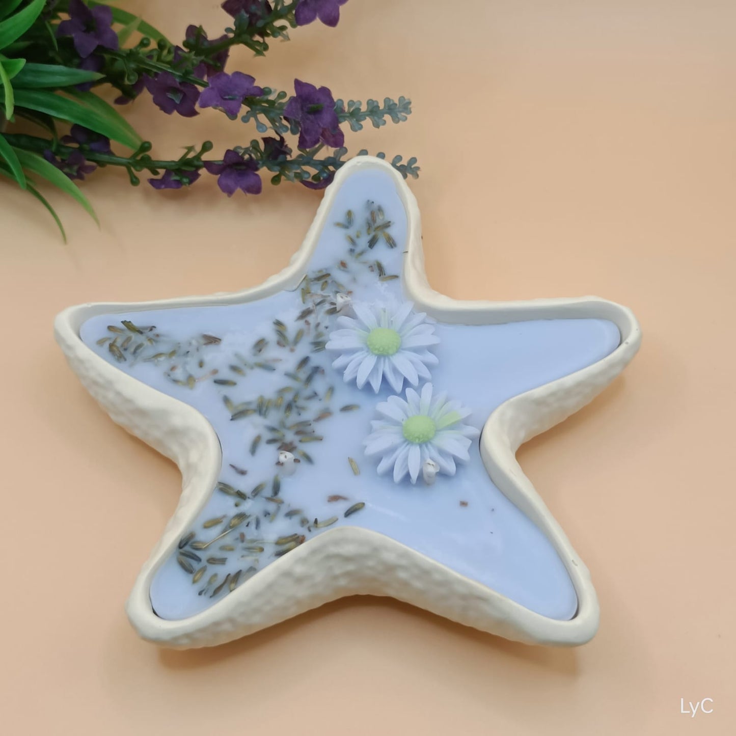 Estrella de mar 2 en 1